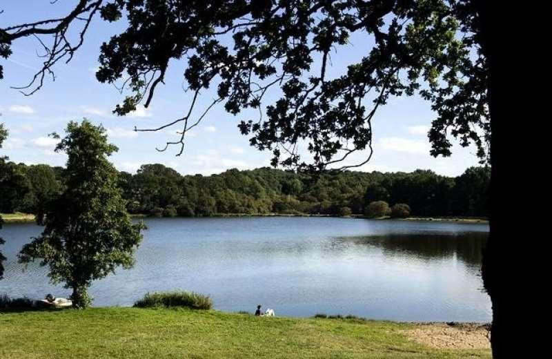 Terres De France - Le Domaine Du Moulin Neuf Hotell Rochefort-en-Terre Exteriör bild